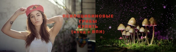 Альфа ПВП Осинники