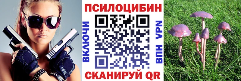 Галлюциногенные грибы MAGIC MUSHROOMS Анадырь